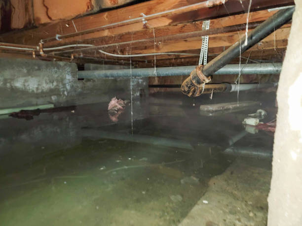 Best Sewage cleanup and water damage restoration  in Dale City, VA