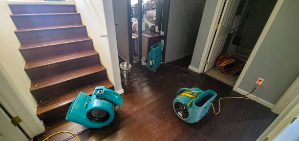 Best Professional water damage repair  in Dale City, VA
