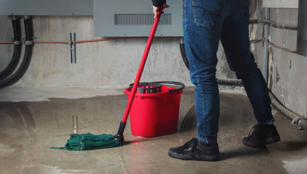 Best Water damage restoration company  in Dale City, VA