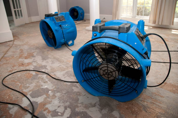 Sewage cleanup and water damage restoration in VA
