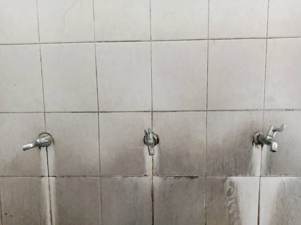 Best Water damage restoration near me  in Dale City, VA