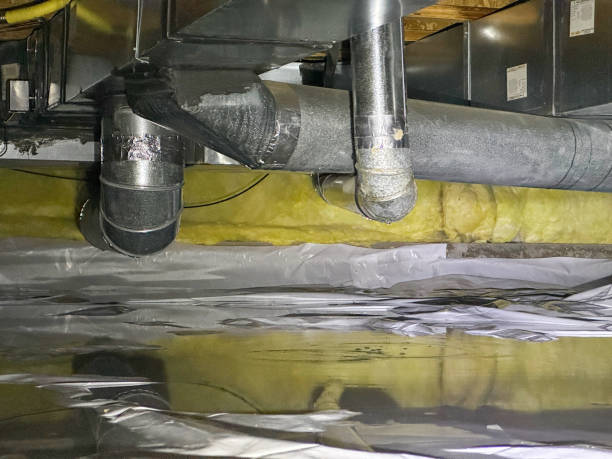 Best Mold removal after water damage  in Dale City, VA