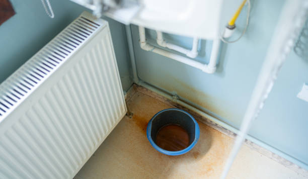 Best Flooded house restoration  in Dale City, VA