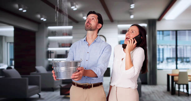 Best Carpet water damage restoration  in Dale City, VA